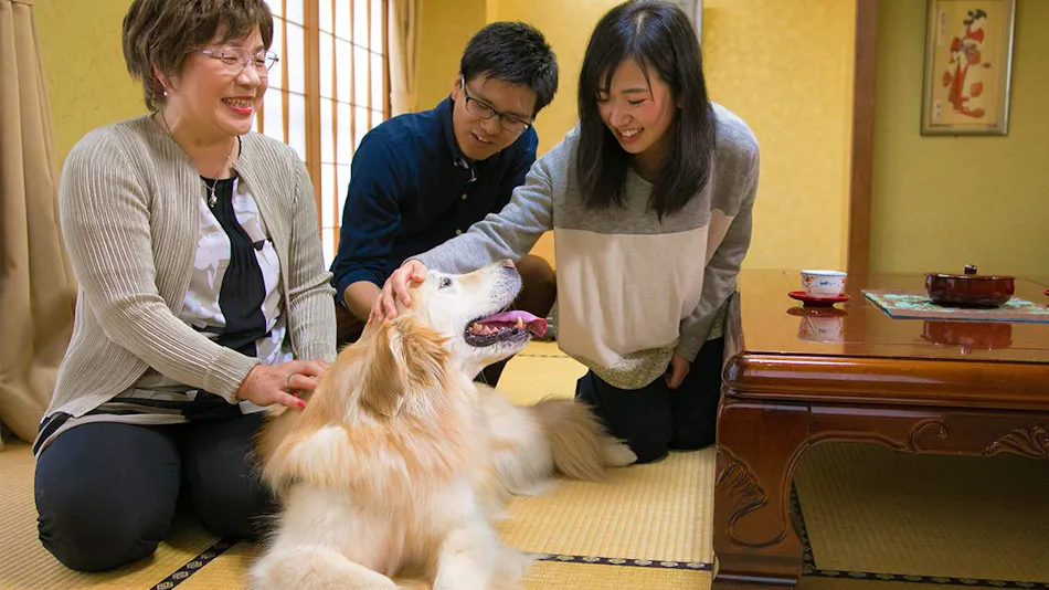 Tsuchiyu Onsen Gensen Yuan New Ougiya