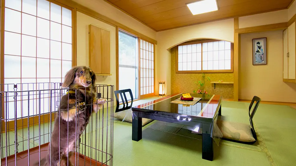 Tsuchiyu Onsen Gensen Yuan New Ougiya