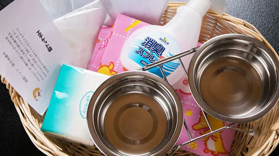 Tsuchiyu Onsen Gensen Yuan New Ougiya