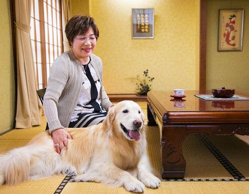 【ワイドペット和室】ワンちゃんにも快適