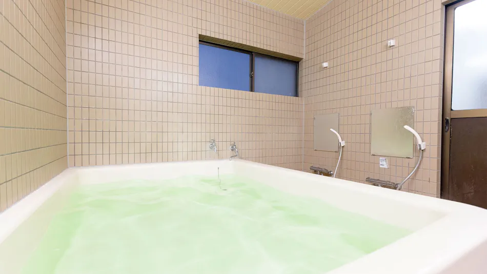 Business Hotel Tsukushi