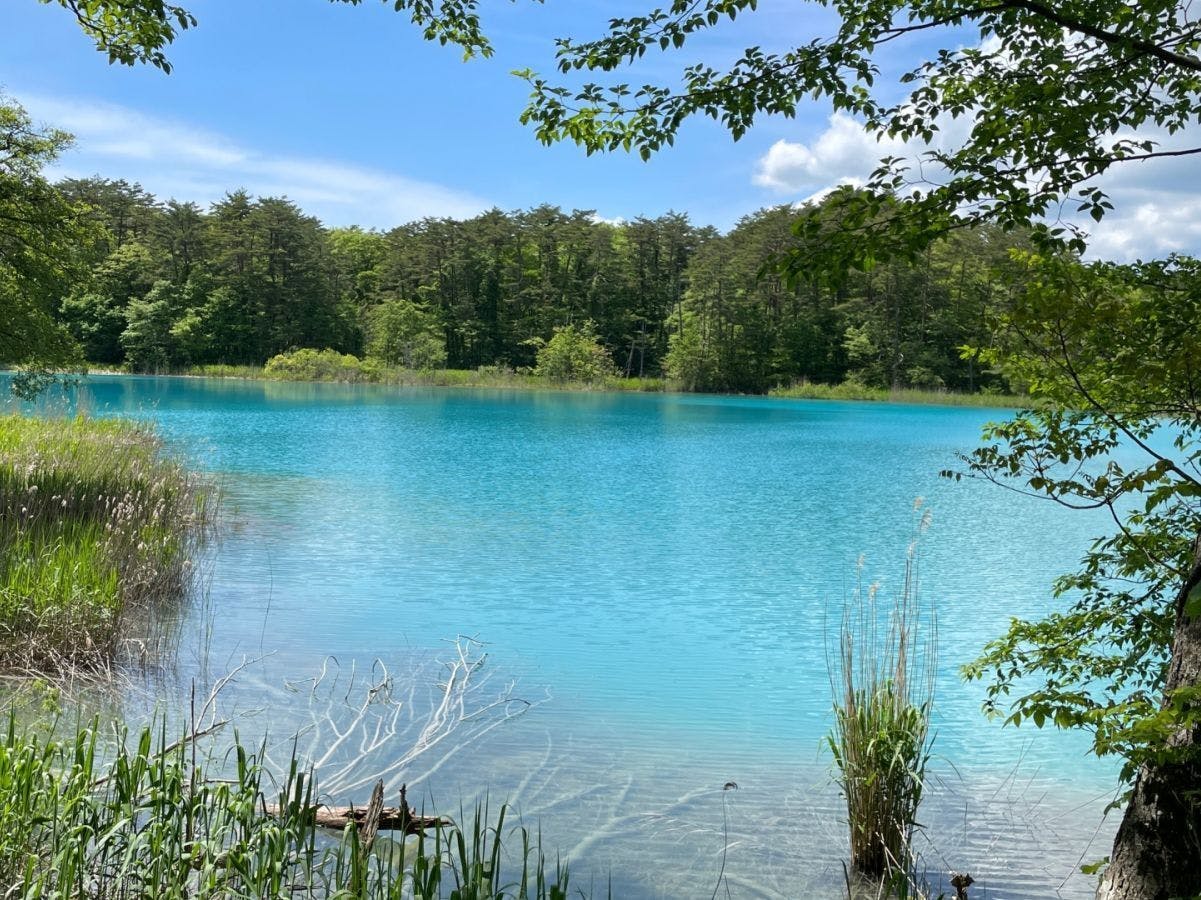 【โกชิกินุมะ】สถานที่ท่องเที่ยวที่สามารถเพลิดเพลินกับสีสันหลากหลาย