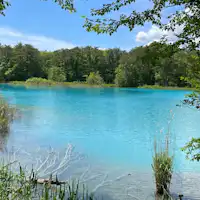 【โกชิกินุมะ】สถานที่ท่องเที่ยวที่สามารถเพลิดเพลินกับสีสันหลากหลาย