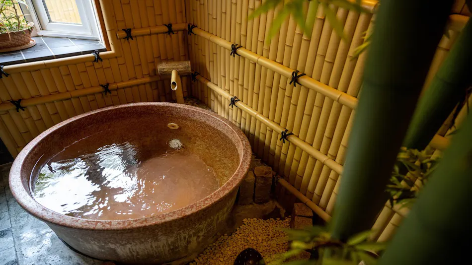 Healing Inn White Pension