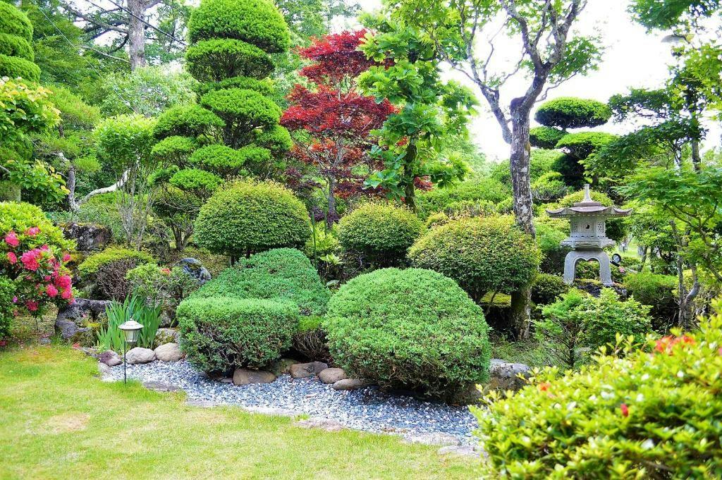 Yamanakako Yabukisou