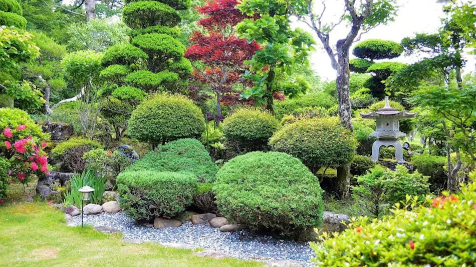 Yamanakako Yabukisou