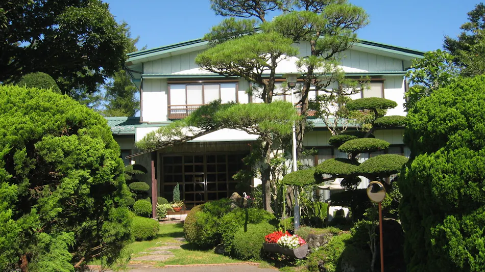 Yamanakako Yabukisou