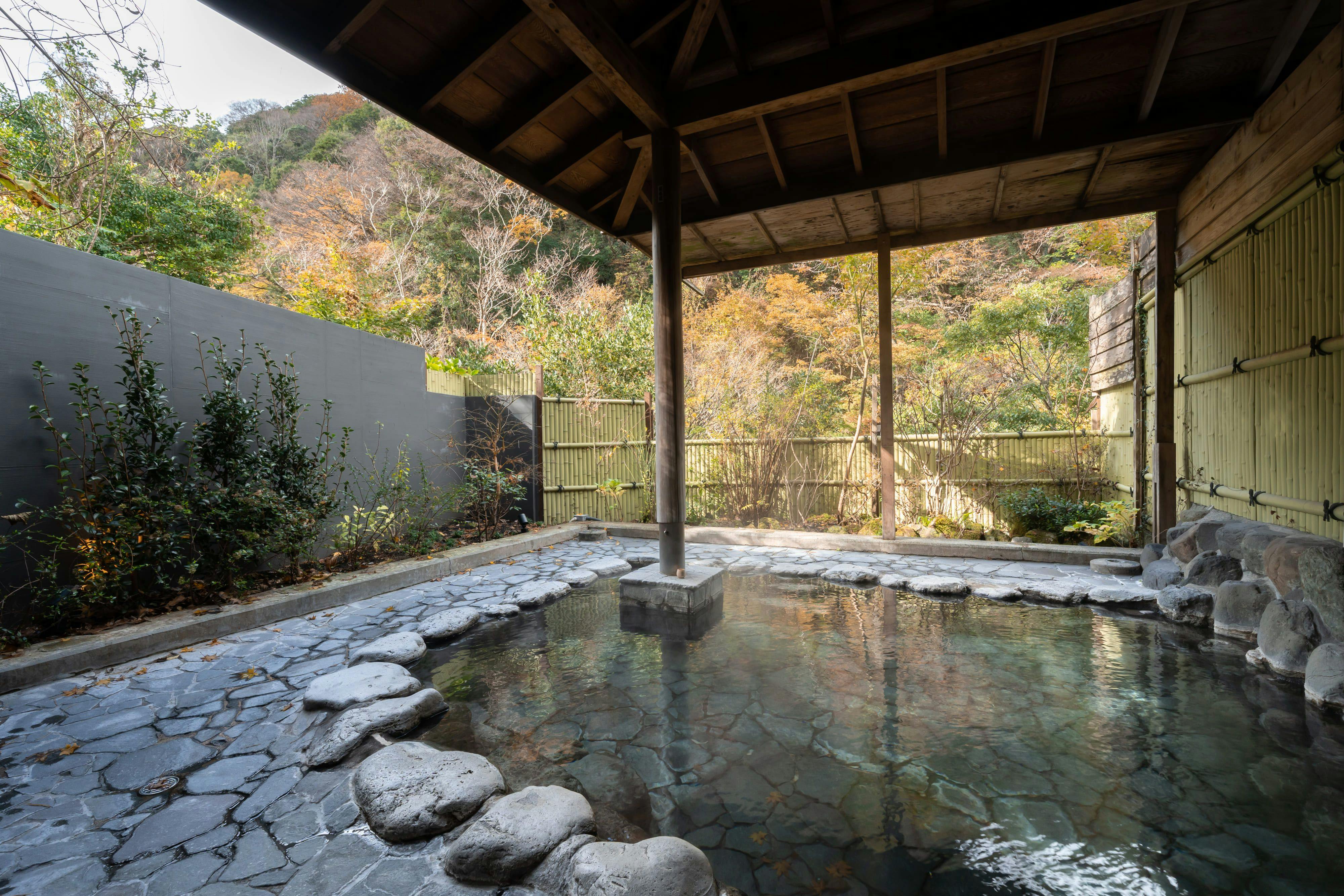 Hakone Tsutaya Ryokan