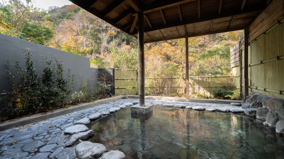 Hakone Tsutaya Ryokan