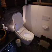 The Leaf Toilet