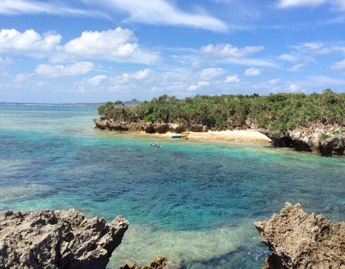 透明度抜群の天然水族館