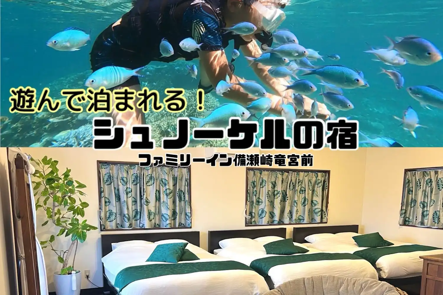 施設画像