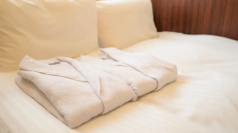 The Cozy Hotel CHIBA