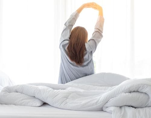 プレミアムプラスルーム