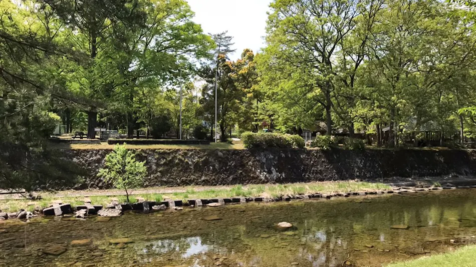 Farm Inn