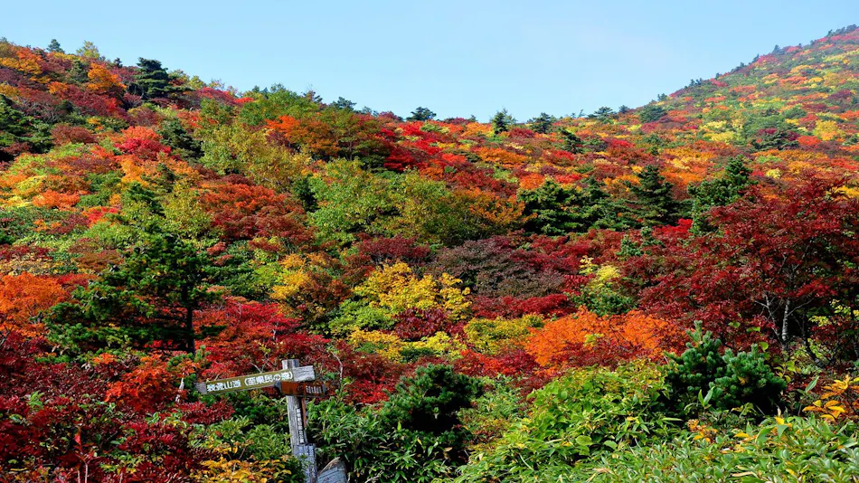 Adatara Onsen Hotel Paradise Hills