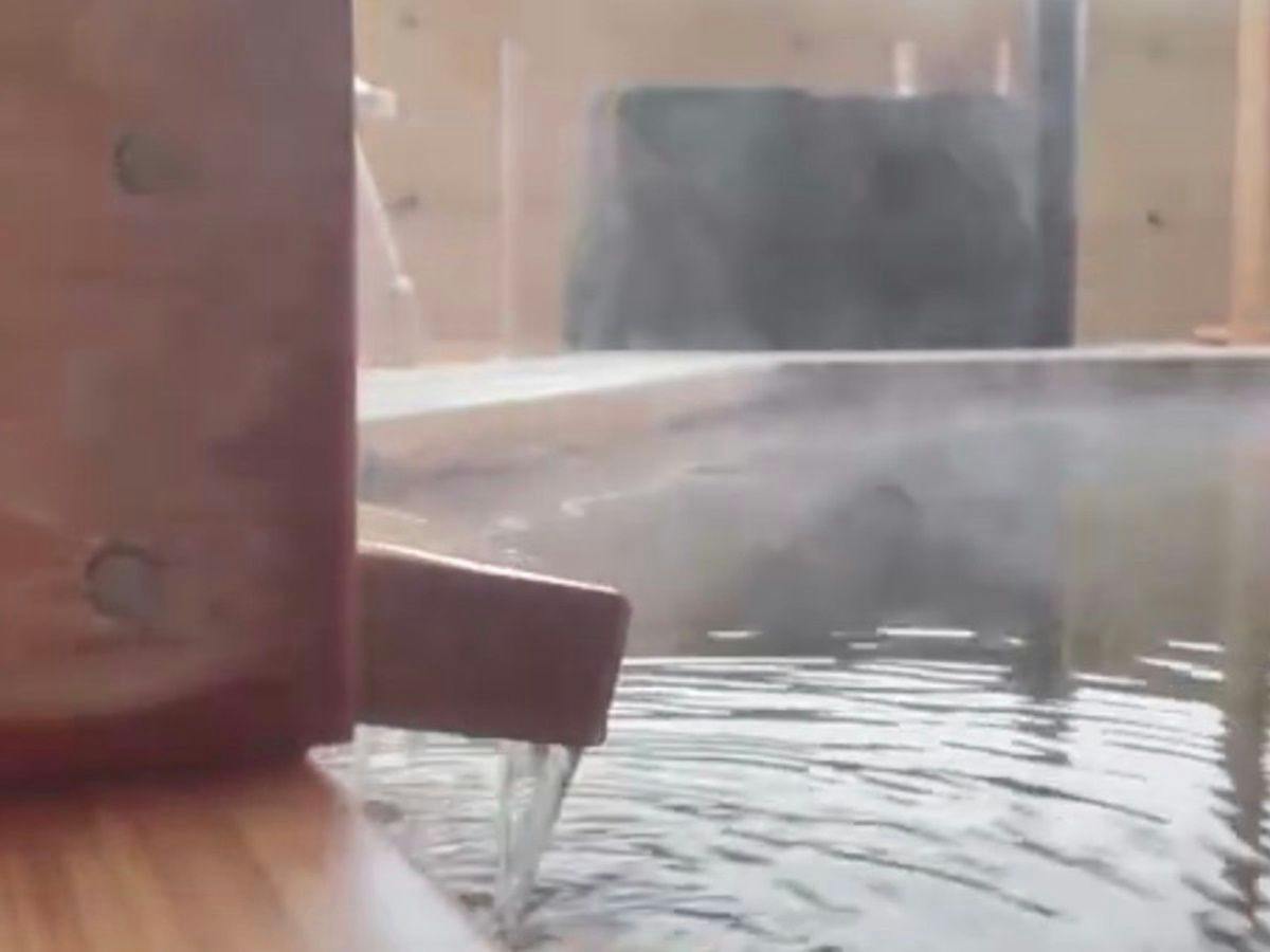 Adatara Onsen Hotel Paradise Hills