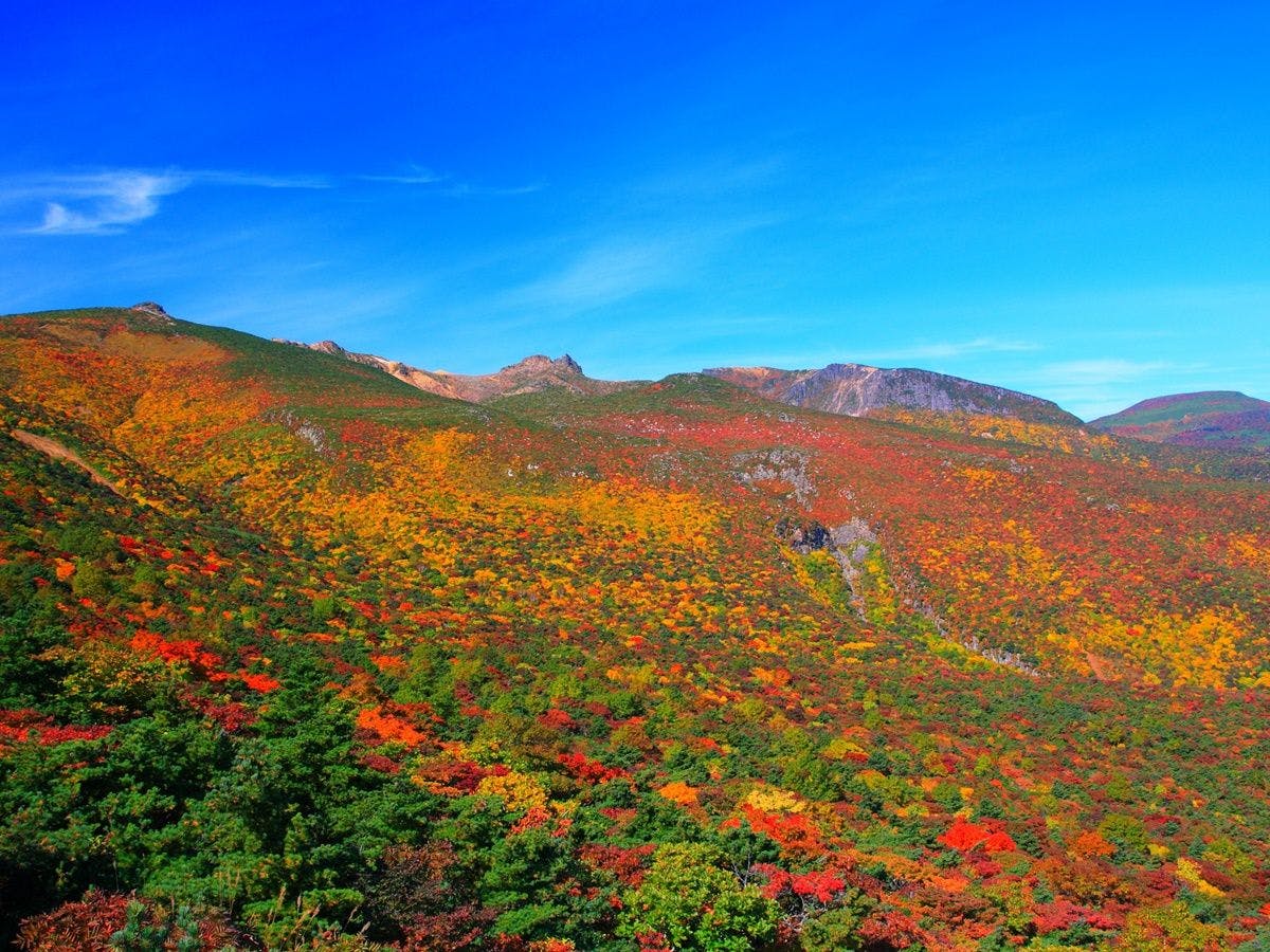 Adatara Onsen Hotel Paradise Hills
