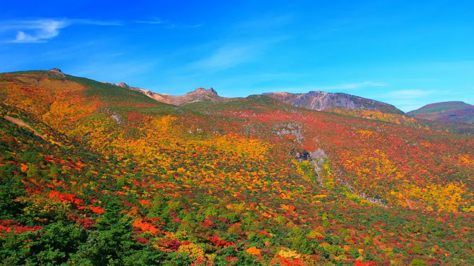 Adatara Onsen Hotel Paradise Hills