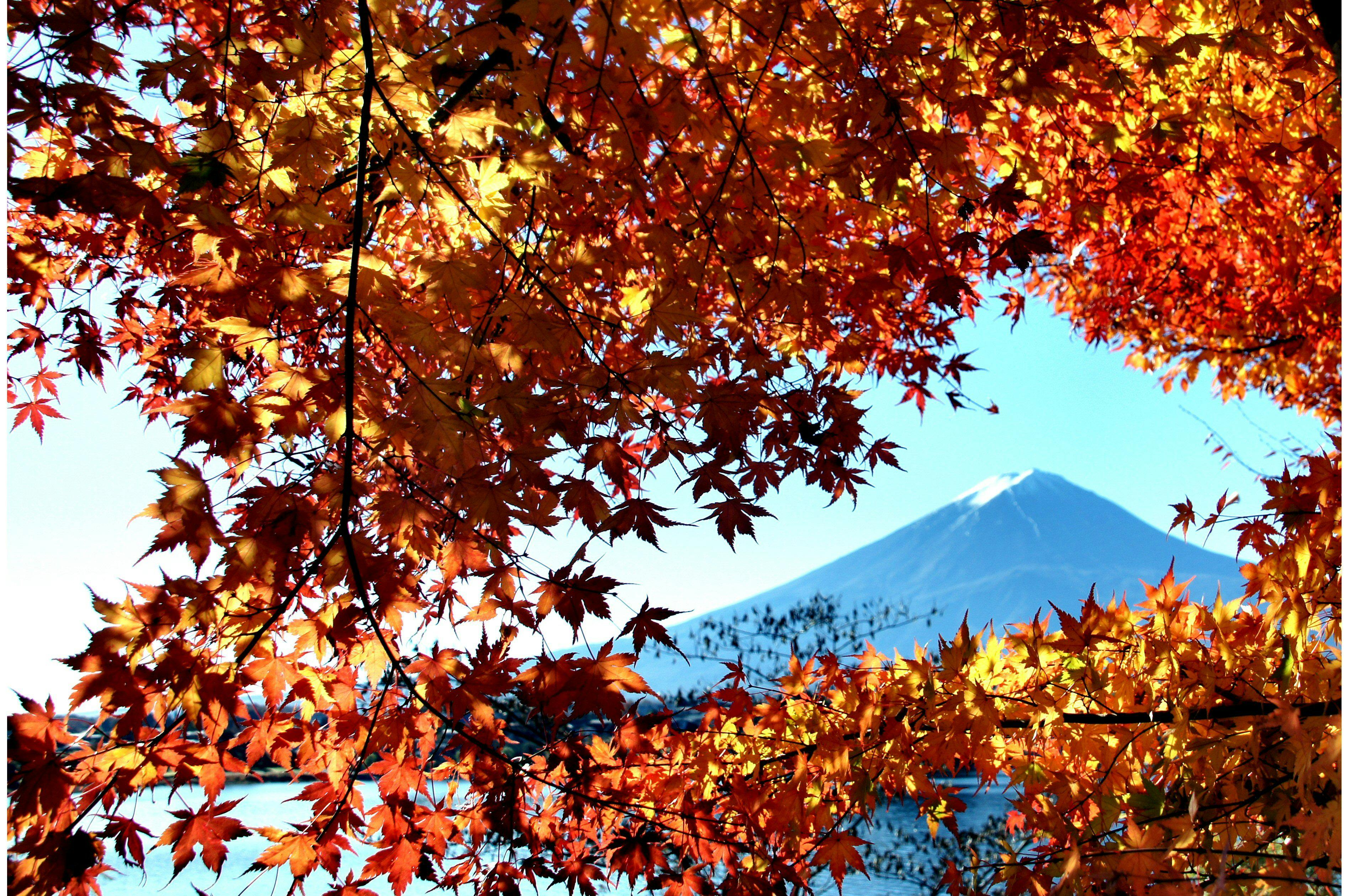 Lake Kawaguchi