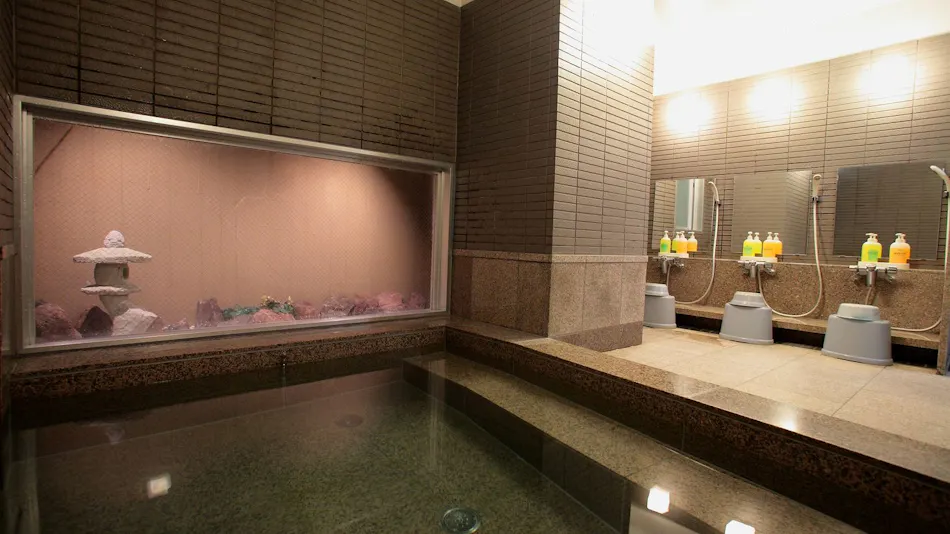 AB Hotel Mikawa Anjo Annex