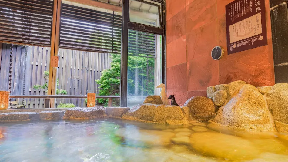 Ooedo Onsen Monogatari Wanwan Resort Awazu