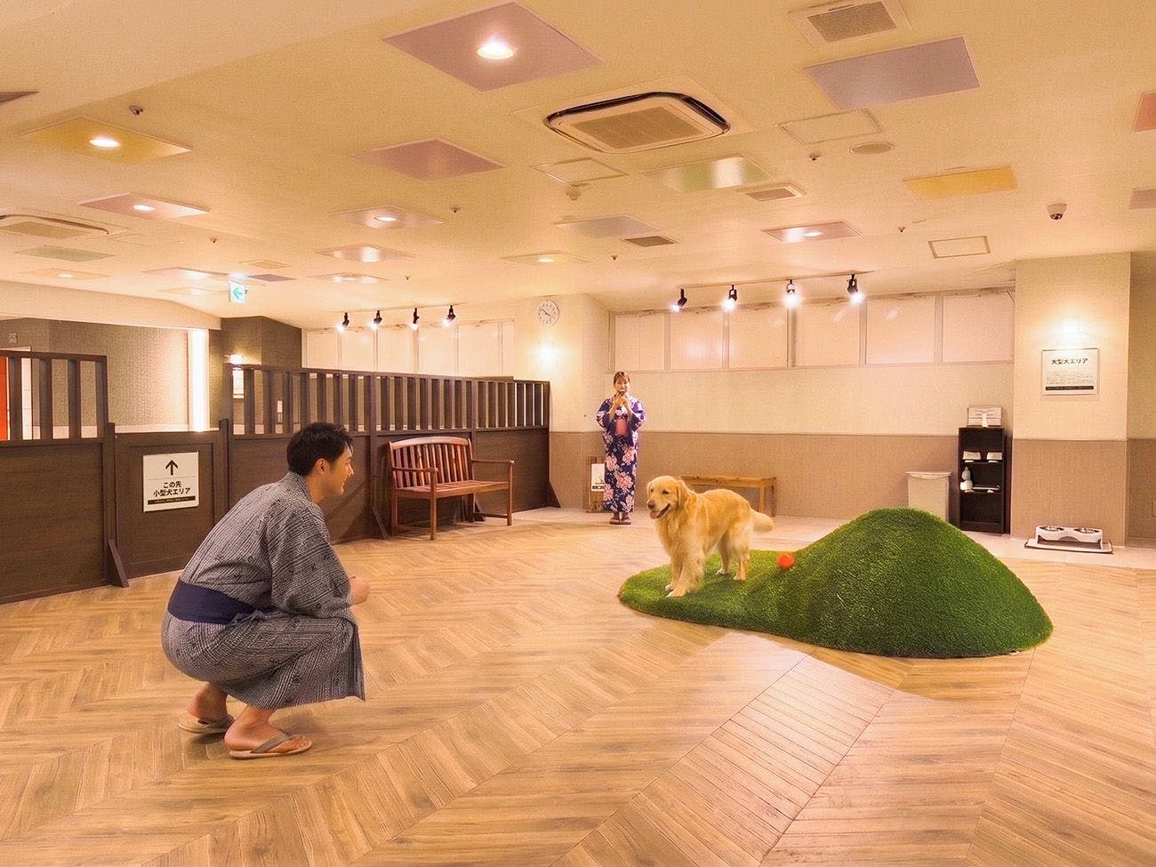 Ooedo Onsen Monogatari Wanwan Resort Awazu