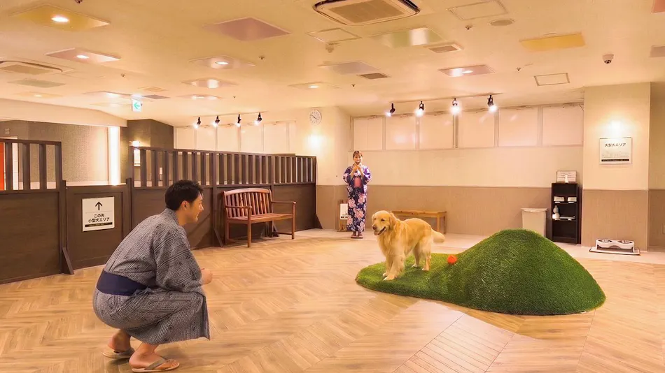 Ooedo Onsen Monogatari Wanwan Resort Awazu