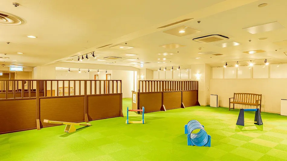 Ooedo Onsen Monogatari Wanwan Resort Awazu