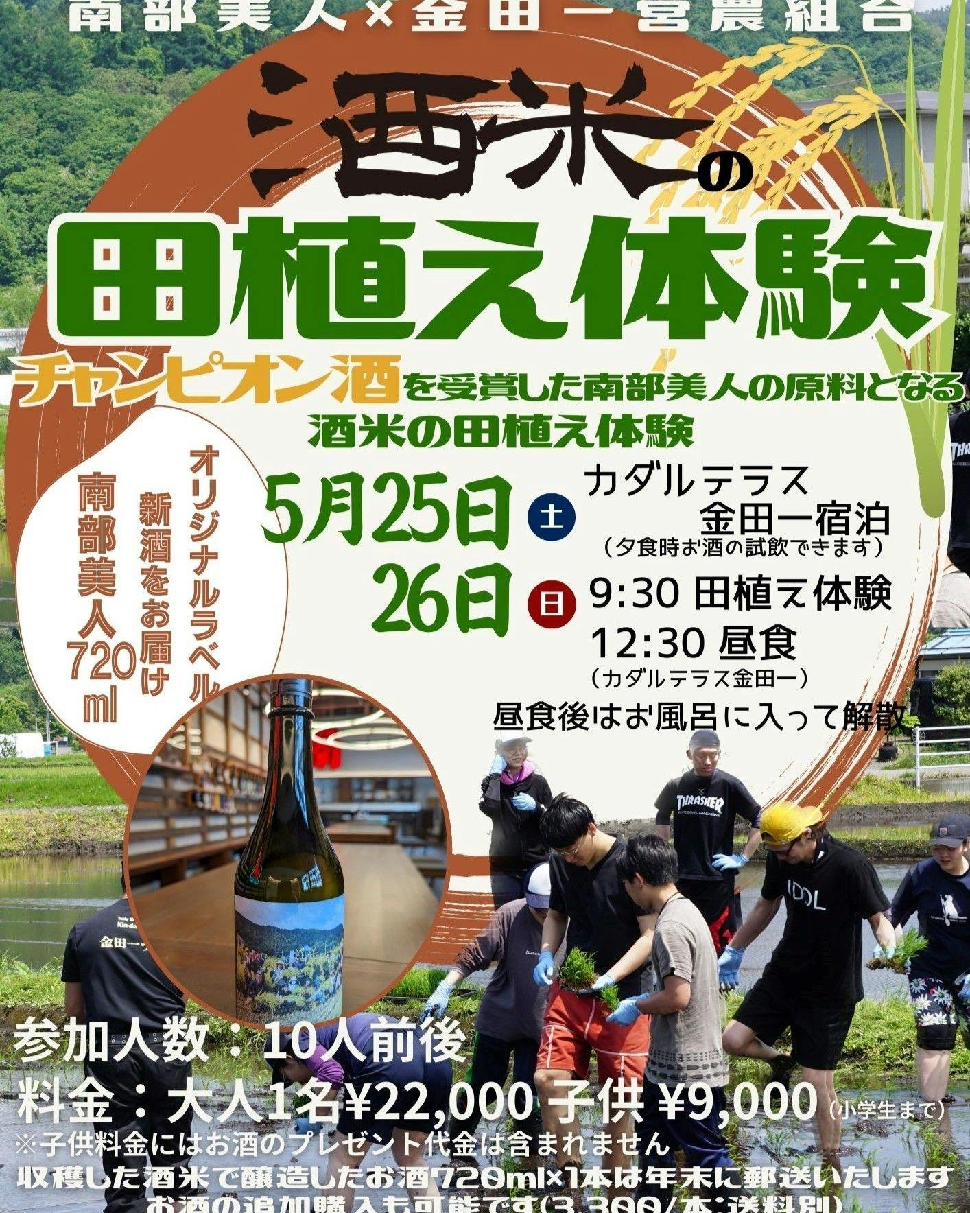 ประสบการณ์ปลูกข้าวสาเก 2024