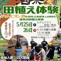 ประสบการณ์ปลูกข้าวสาเก 2024