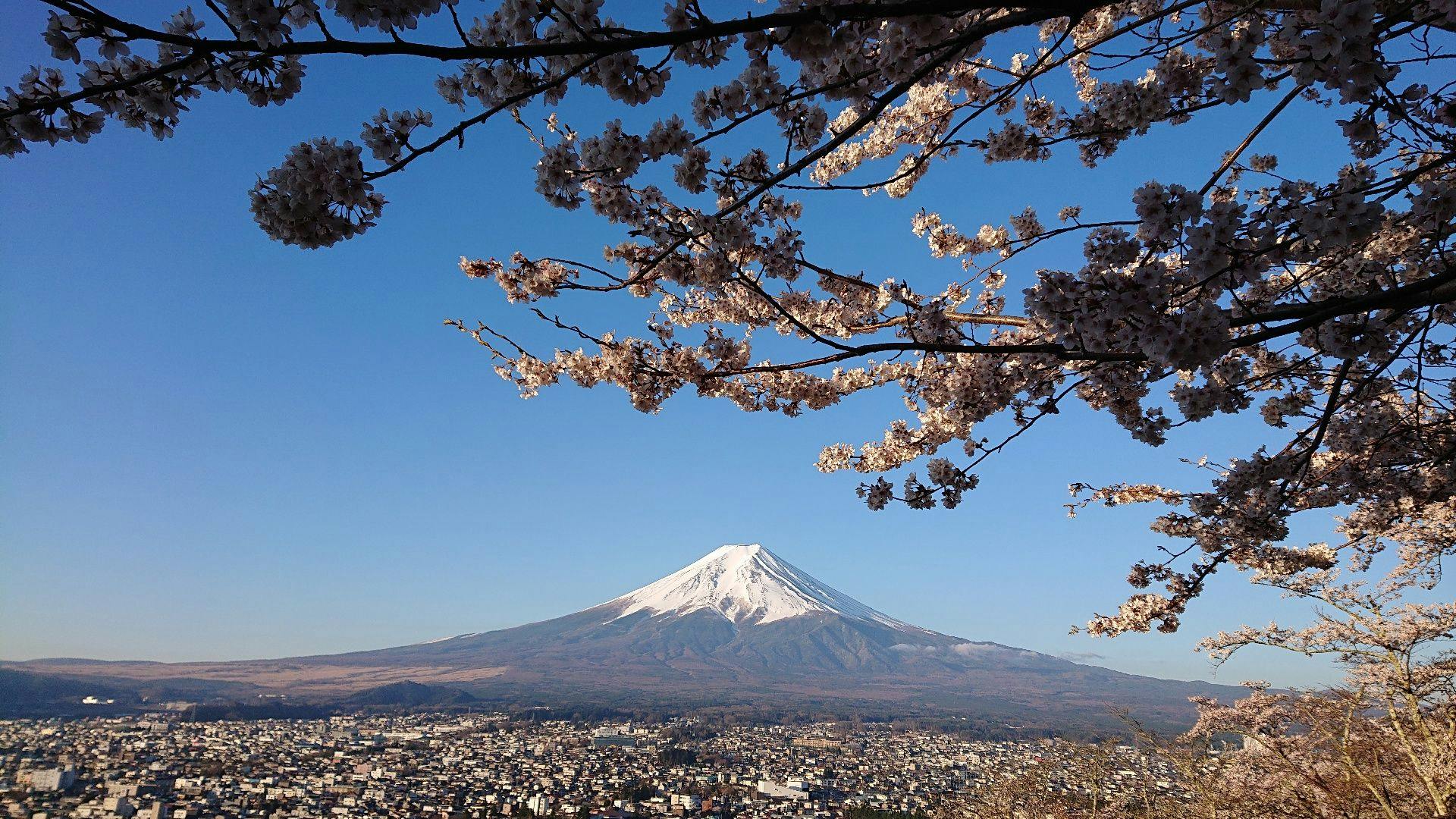 Mt. Fuji Yui Apartment Condominium