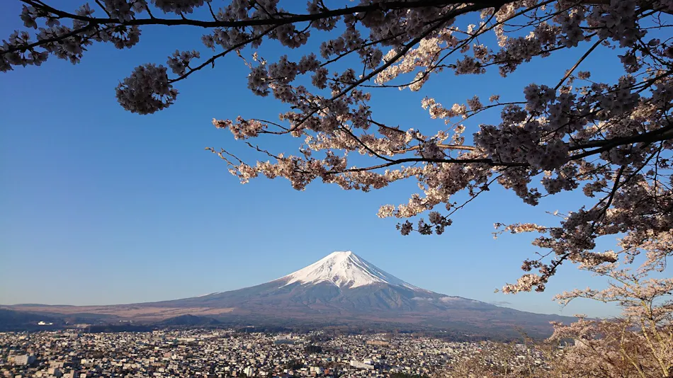Mt. Fuji Yui Apartment Condominium