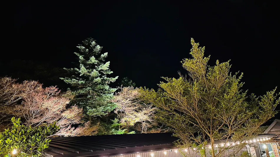 Izu Glamping Resort Ishiki385