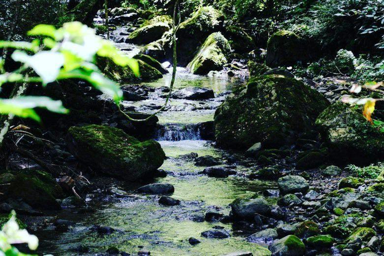 Izu Glamping Resort Ishiki385