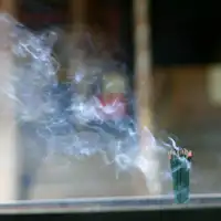 *มอนจูโด