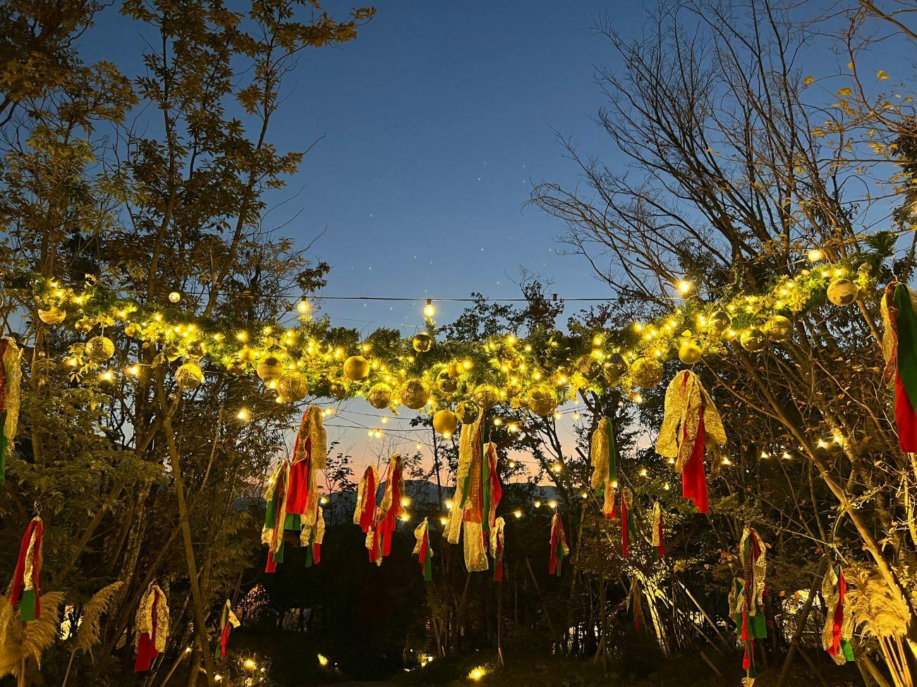 Nakatsugawa Glamping Mori no Sora