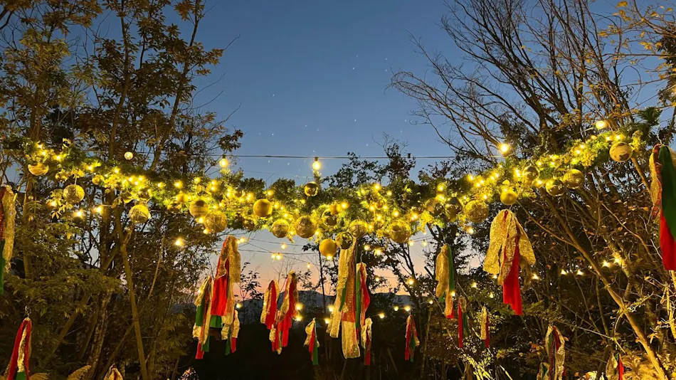 Nakatsugawa Glamping Mori no Sora