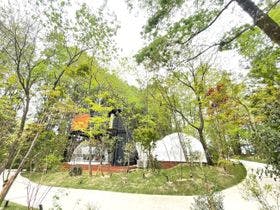 中津川グランピング　森の空