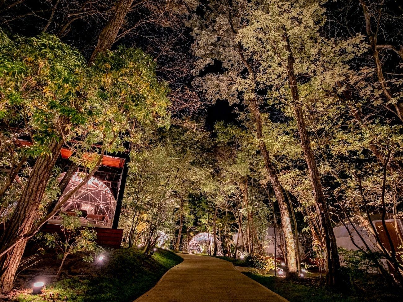 Nakatsugawa Glamping Mori no Sora