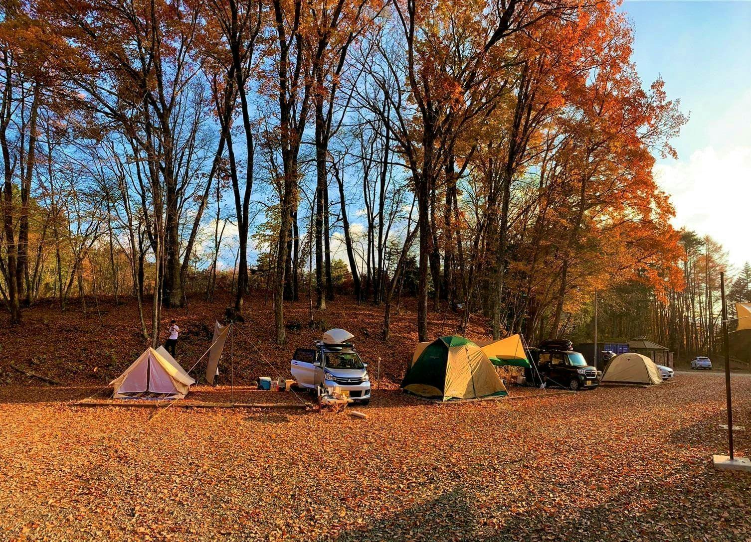 【BULLs 캠프 - 가을 풍경】