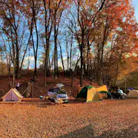 【BULLs 캠프 - 가을 풍경】