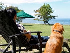 愛犬と楽しむ宿　じゃぱり館山