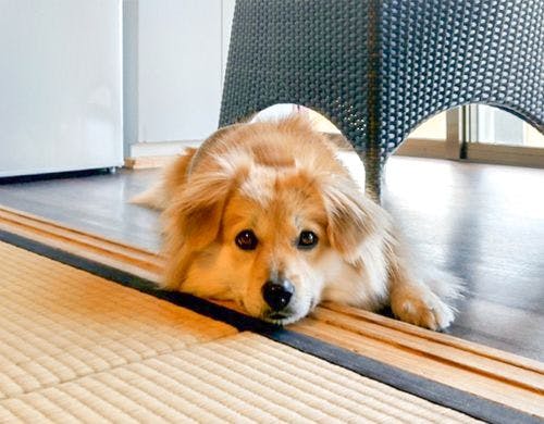 ・皆が笑顔になる宿泊体験を満喫ください！