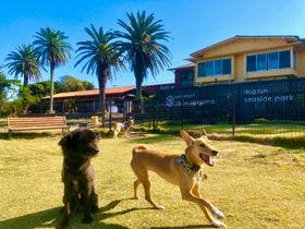 愛犬と楽しむ宿　じゃぱり館山