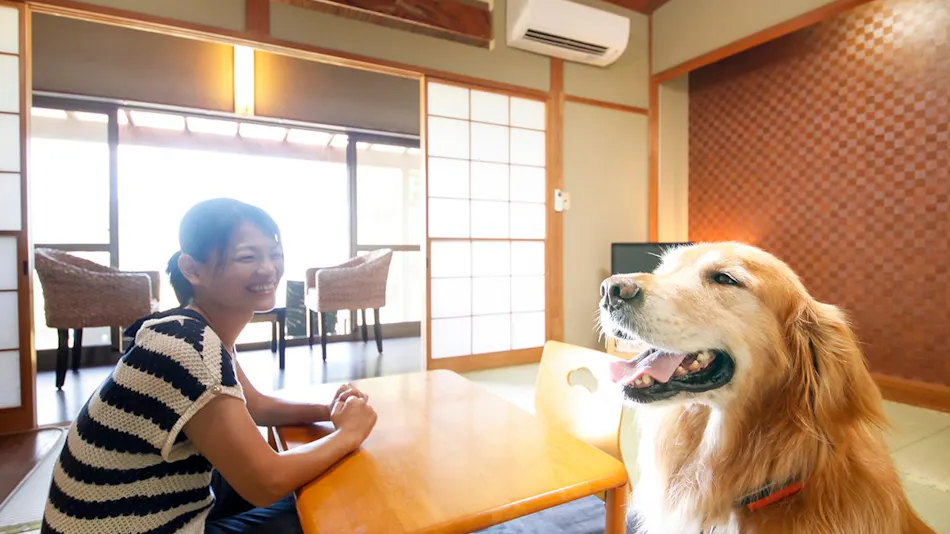 Dog-Friendly Inn Japari Tateyama