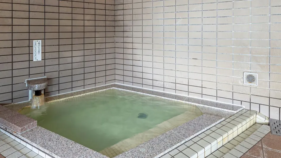 Horoshin Onsen Hotaru-kan