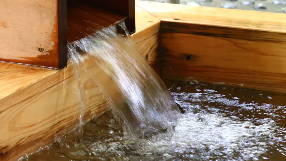 Maruyama Kousen Ryokan