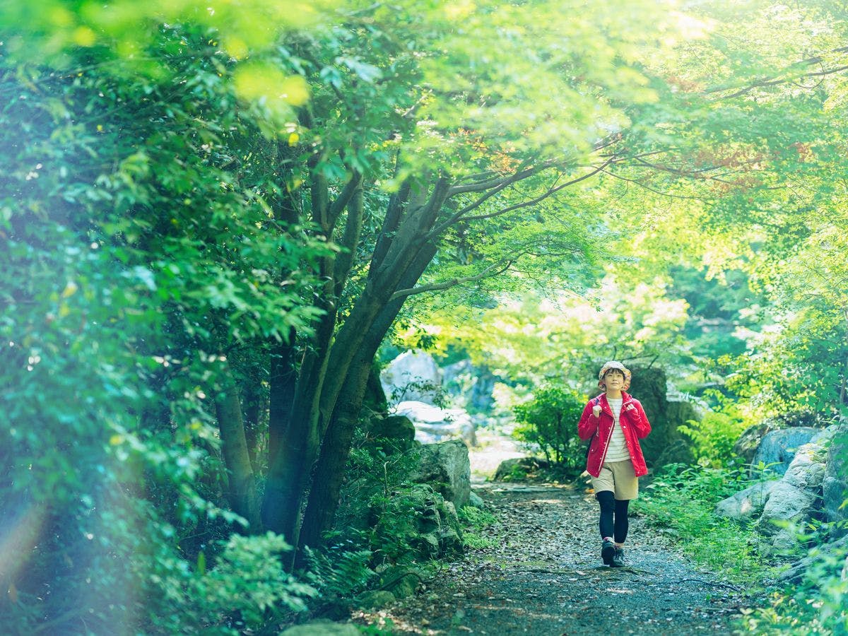 ＼แผนการเดินทางคนเดียว／