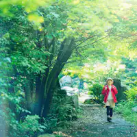 \แผนการเดินทางคนเดียว/